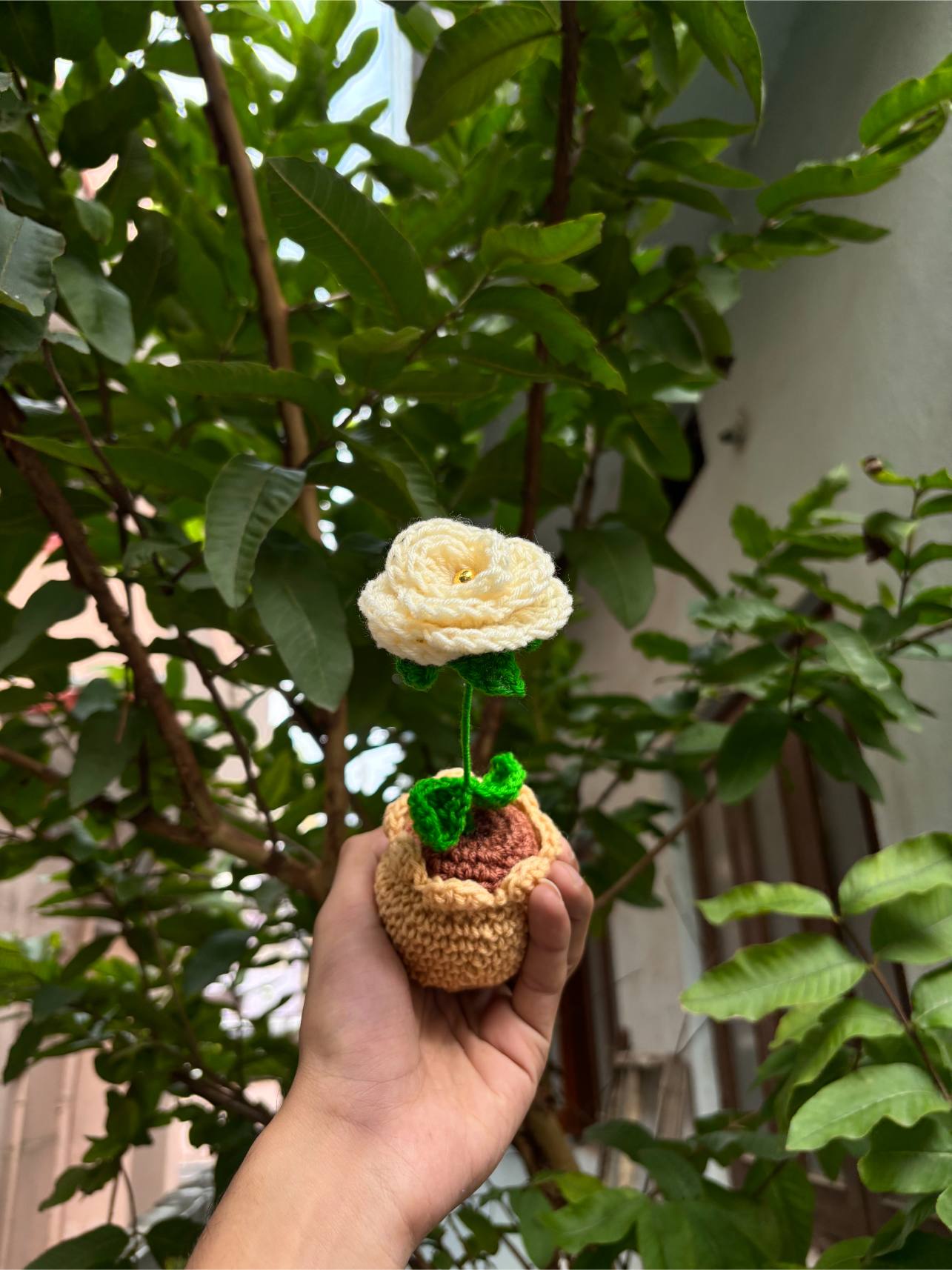 Crochet Pot | Yellow Rose