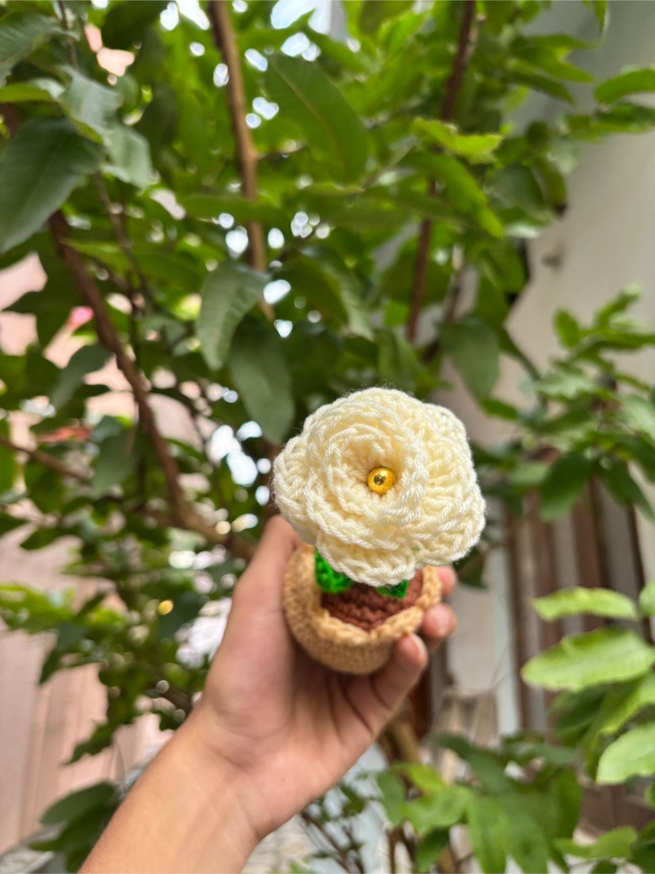 Crochet Pot | Yellow Rose