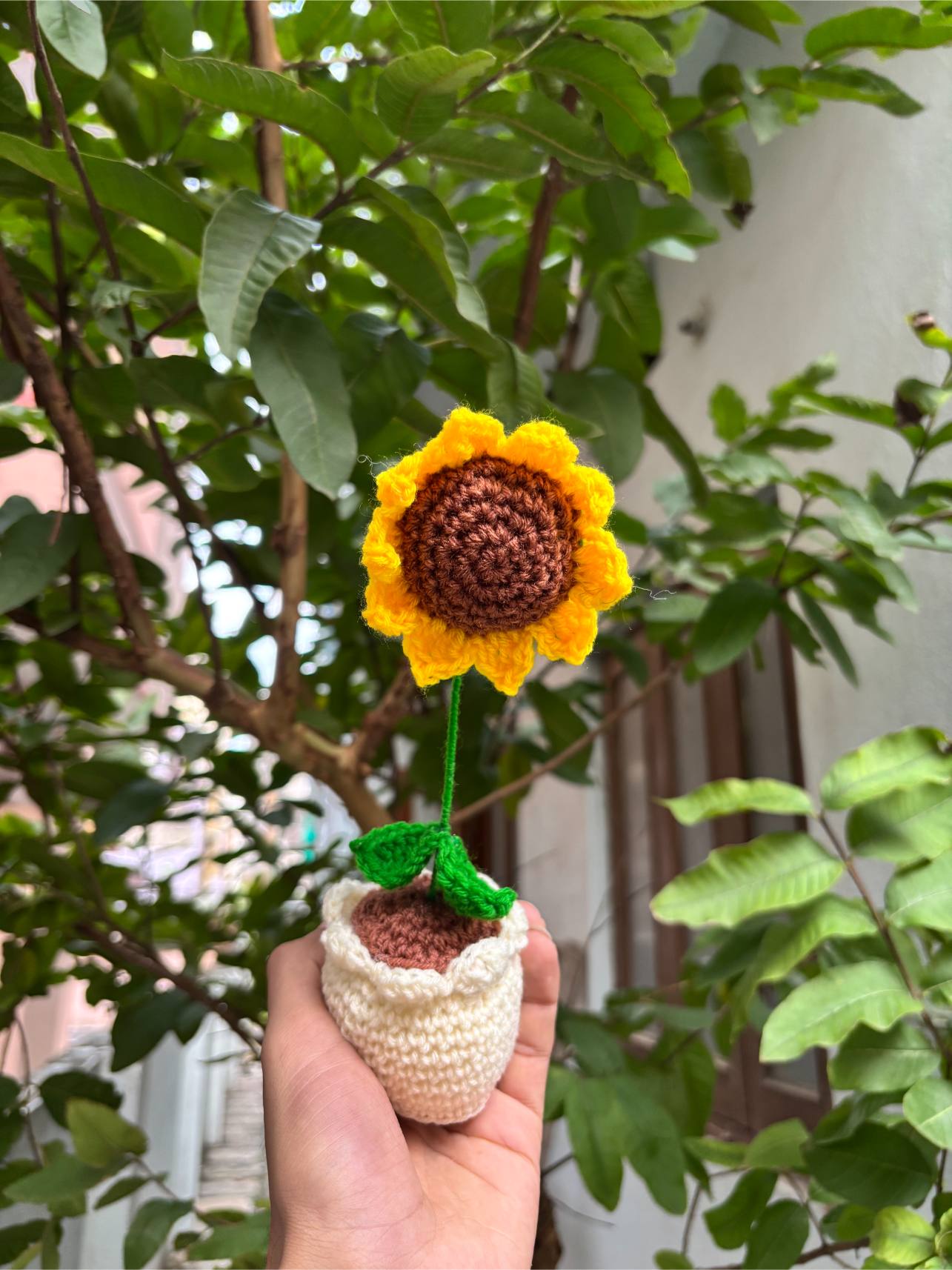 Crochet Pot | Sunflower