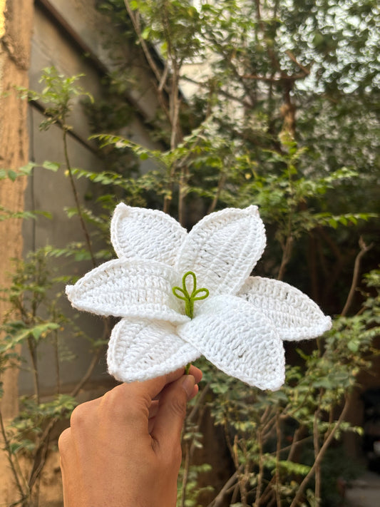Crochet Flower | White Lilly Big