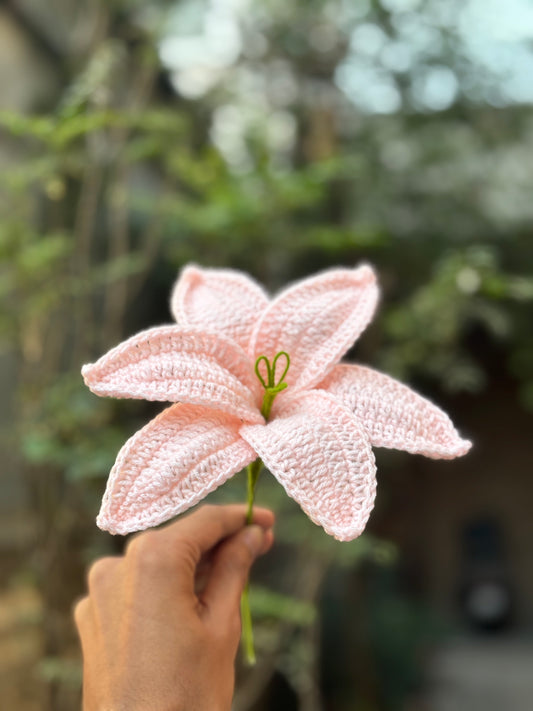 Crochet Flower | Baby Pink Lilly Big