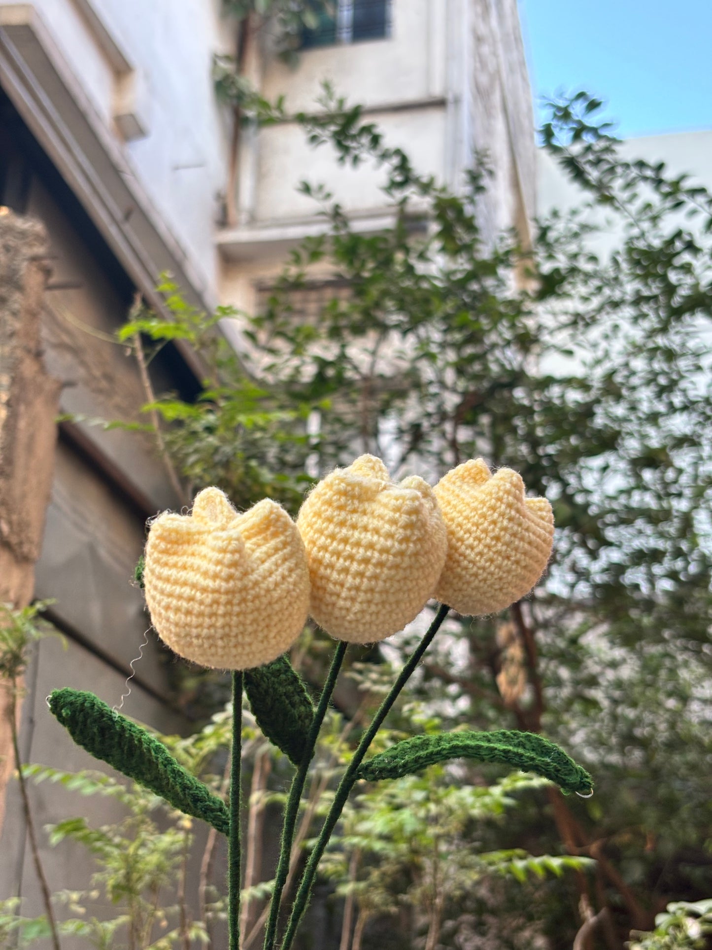 Tulip Crochet Flower | Butter Yellow