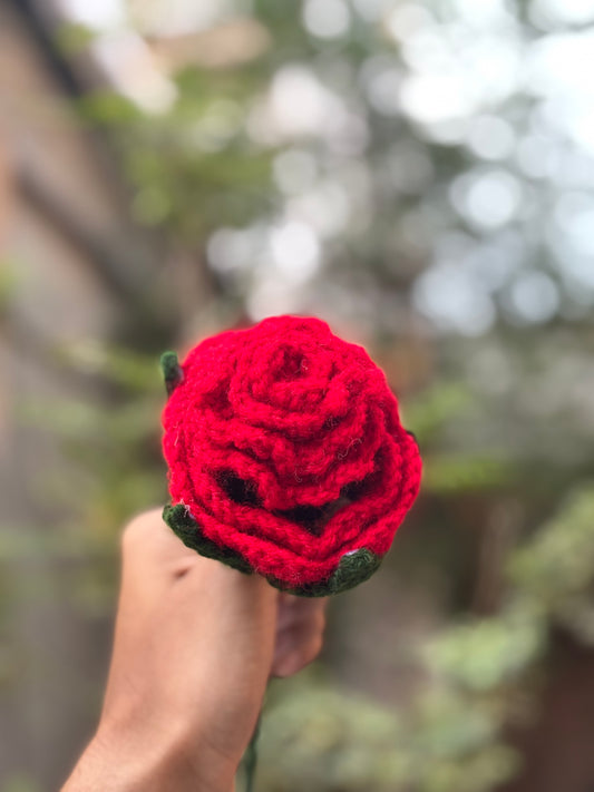Crochet Toy | Convertible Rose Doll