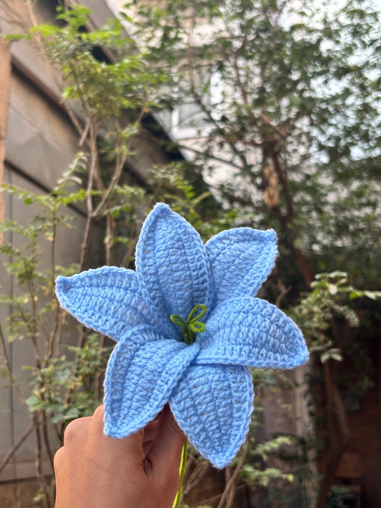 Crochet Flower | Light Blue Lilly Big