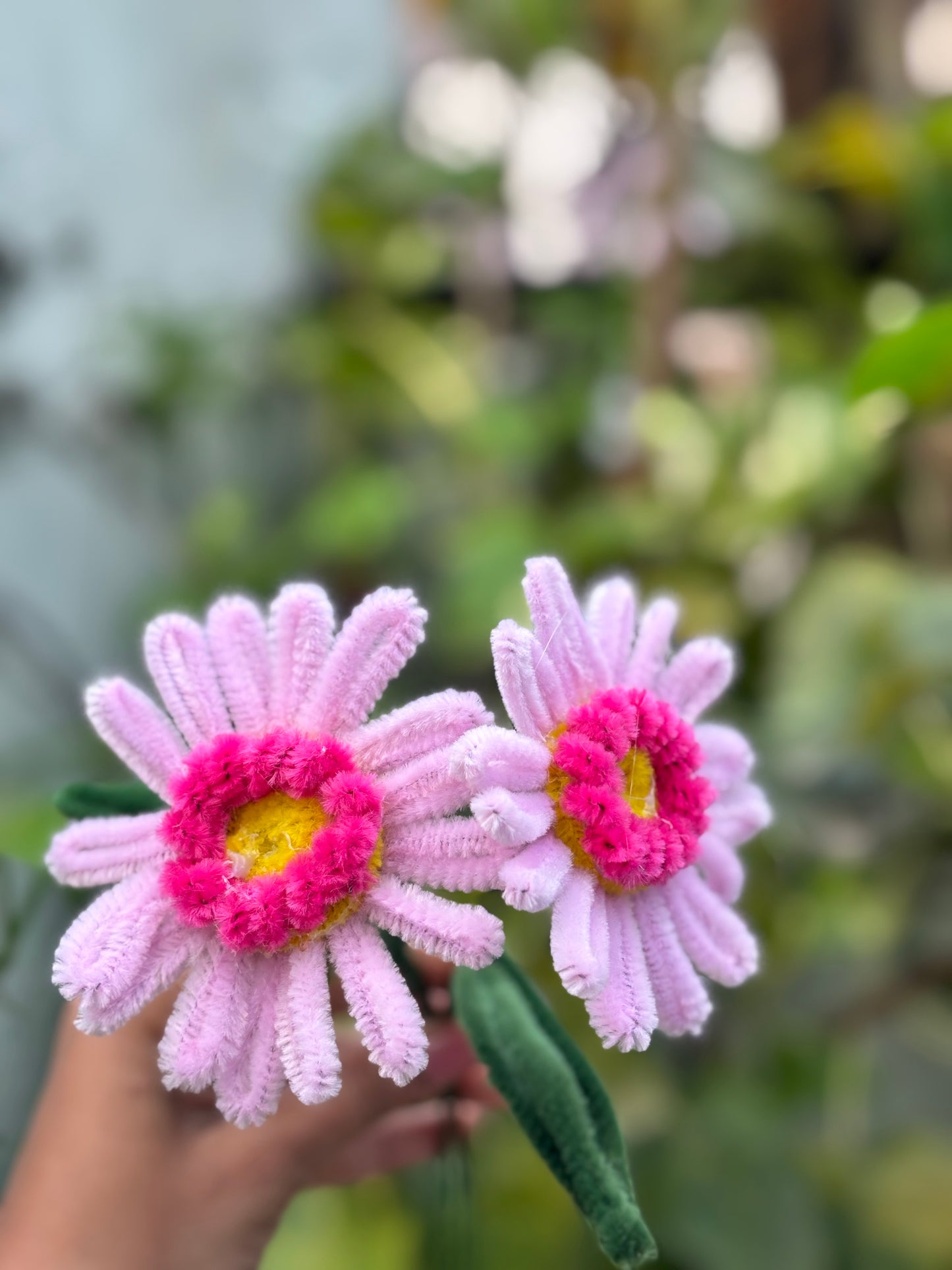 Fuzzy Flower | Daisy Multi Shade Pink