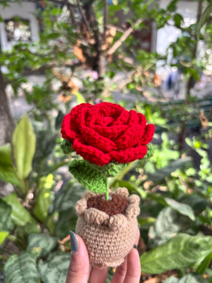 Crochet Pot | Red Rose