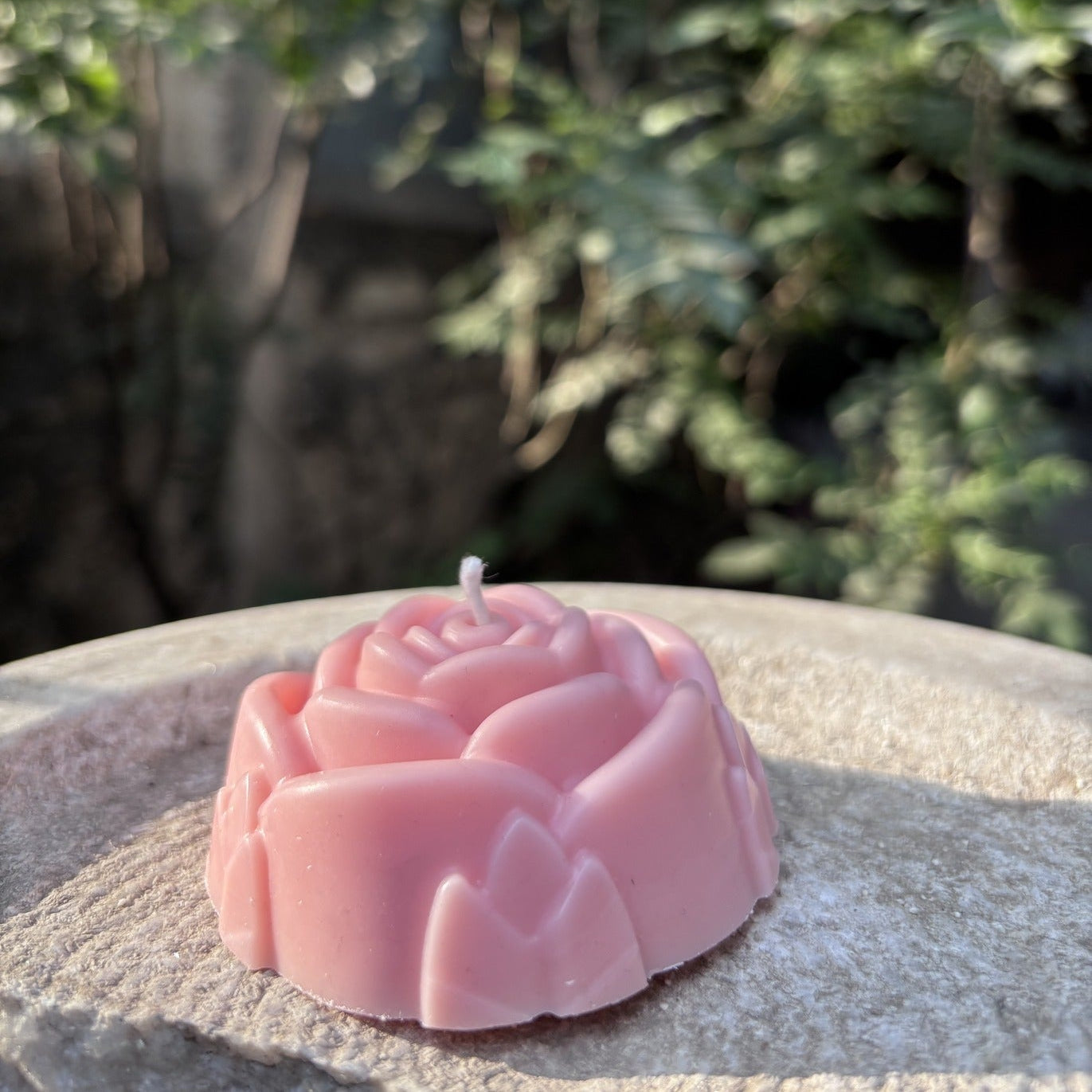Rose petal - Blush Bloom scented candle