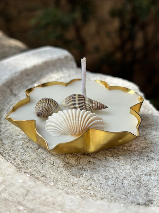 Sea Shell Urli Scented Candle - Small