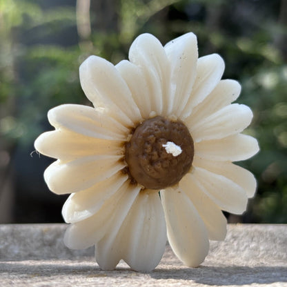 White Brown Jasmine Scented Daisy Candle