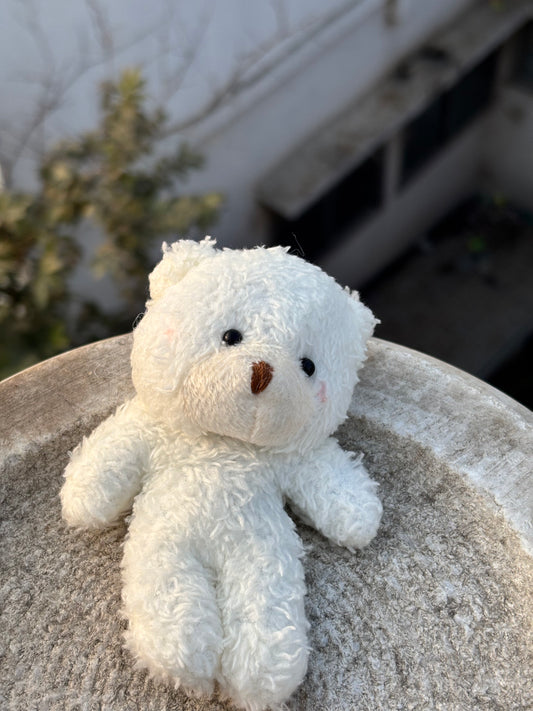 Keychain | White Fur Teddy Keychain